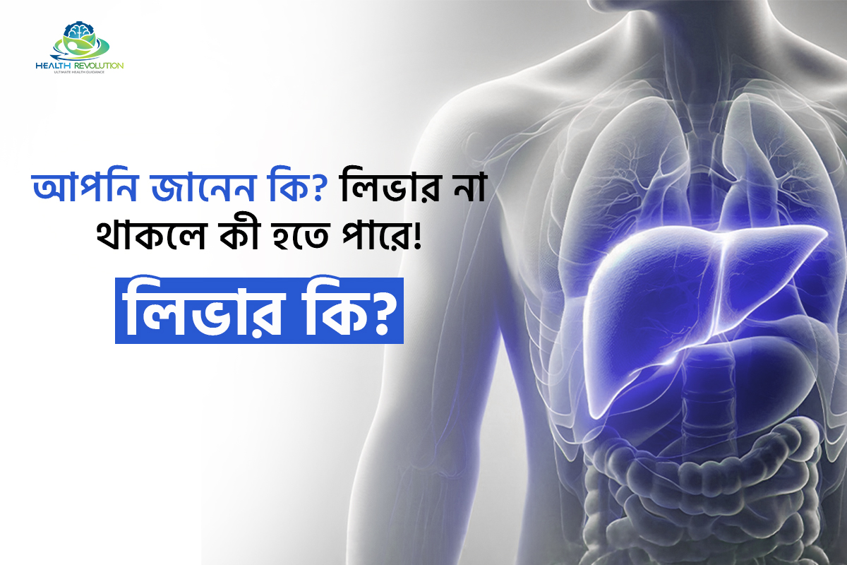 লিভার কী এবং লিভার না থাকলে শরীরে কী সমস্যা হতে পারে—মানবদেহে লিভারের অবস্থান ও কার্যকারিতা